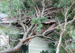 stormdamage_1