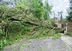 stormdamage_3